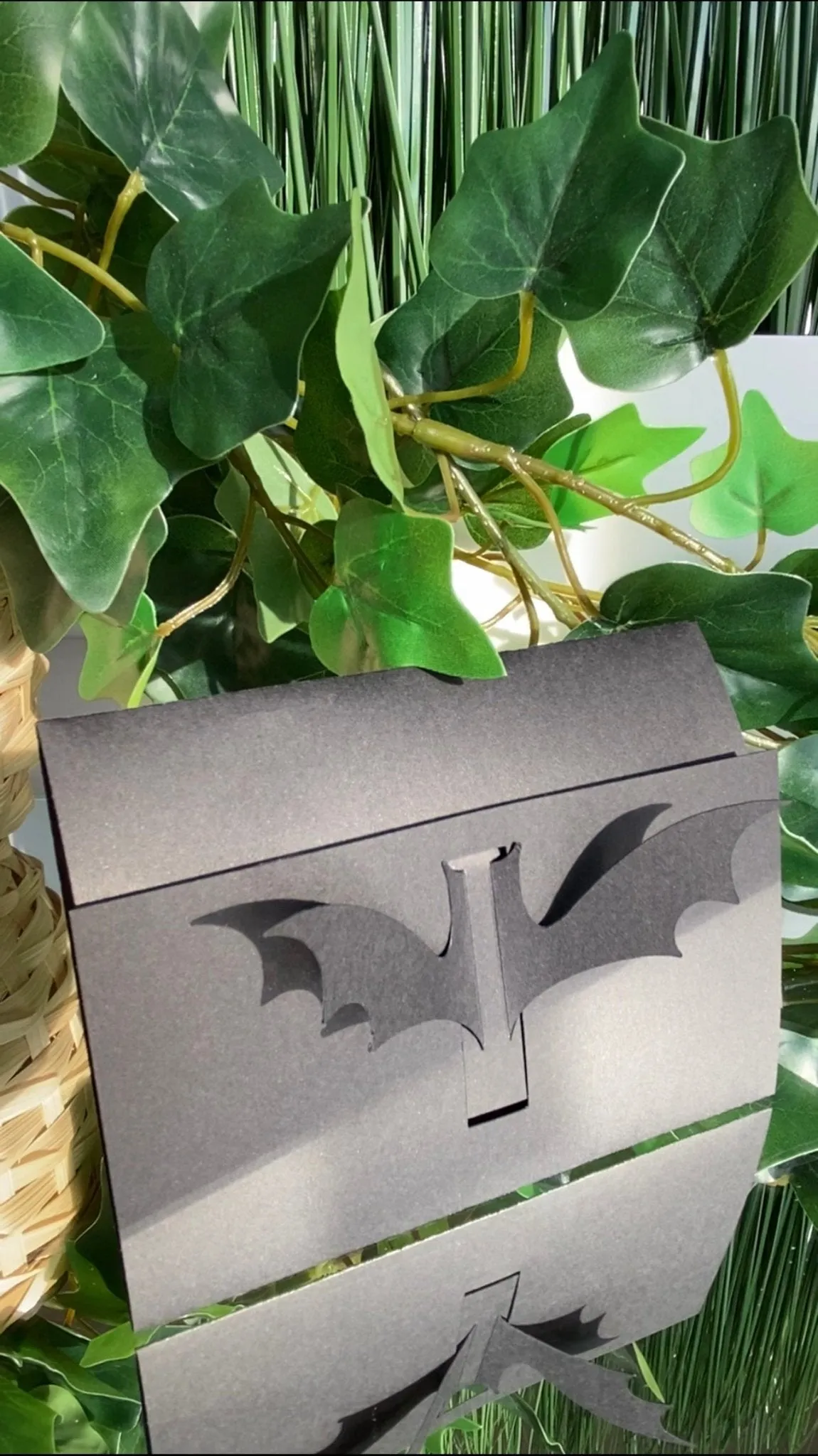 Blank Bat Wing Folded Card